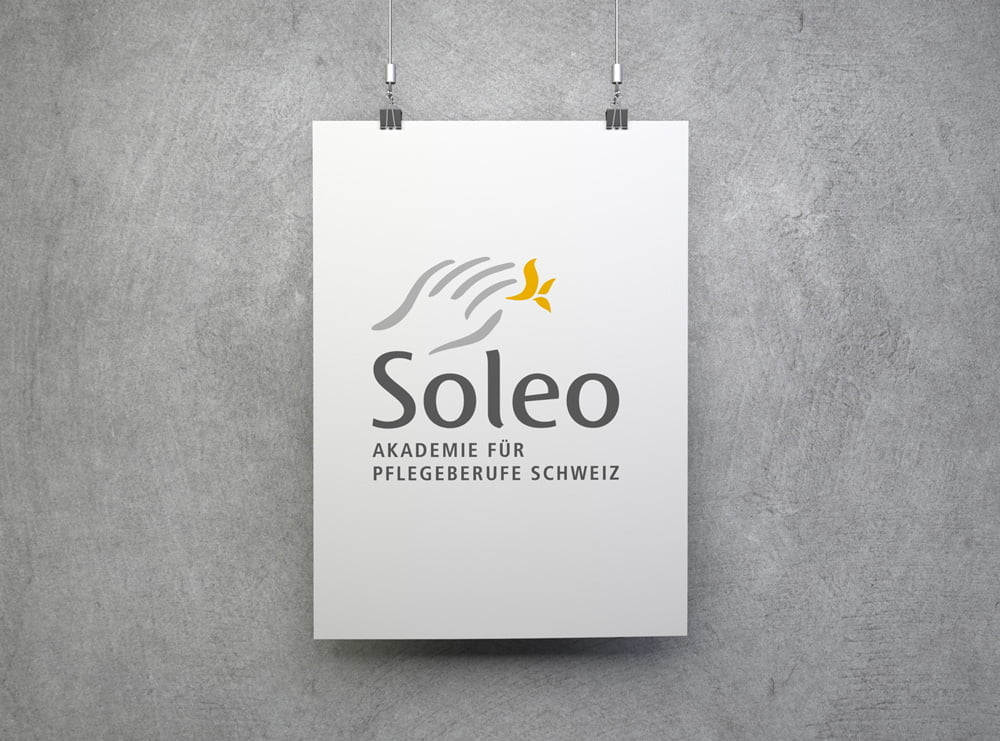 Logo Design Soleo